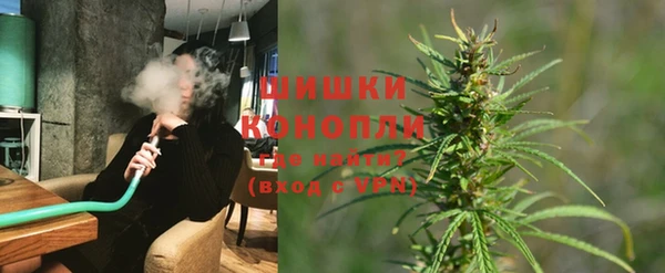 прущие грибы Баксан