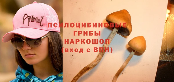 марихуана Беломорск
