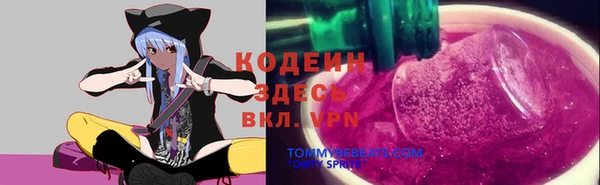 хмурый Балабаново