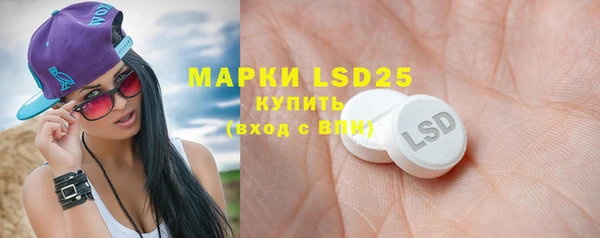 прущие грибы Баксан