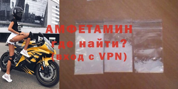 прущие грибы Баксан