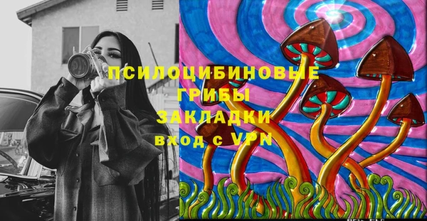хмурый Балабаново