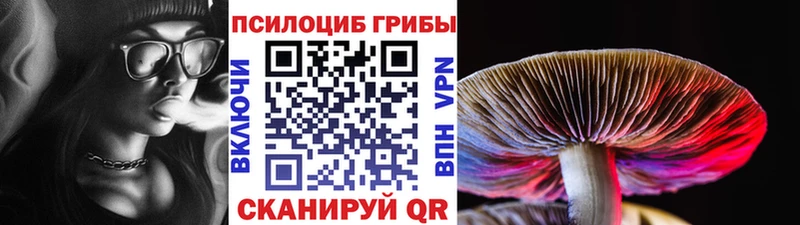 Псилоцибиновые грибы Magic Shrooms  Купить закладки  Медынь 